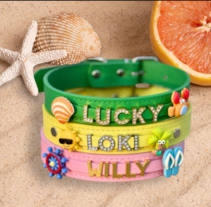 Custom Pet Collars